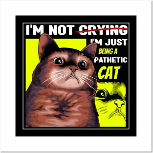 Pathetic Cat Meme Posters and Art